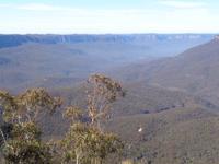 Blick in die Blue Mountains