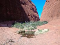 In der Mala Schlucht