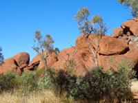 Auf der Wanderung am Uluru