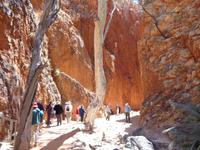 In der Schlucht von Standley Chasem