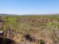 Im Arnhem Land