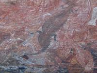 Felszeichnungen am Injalak Hill