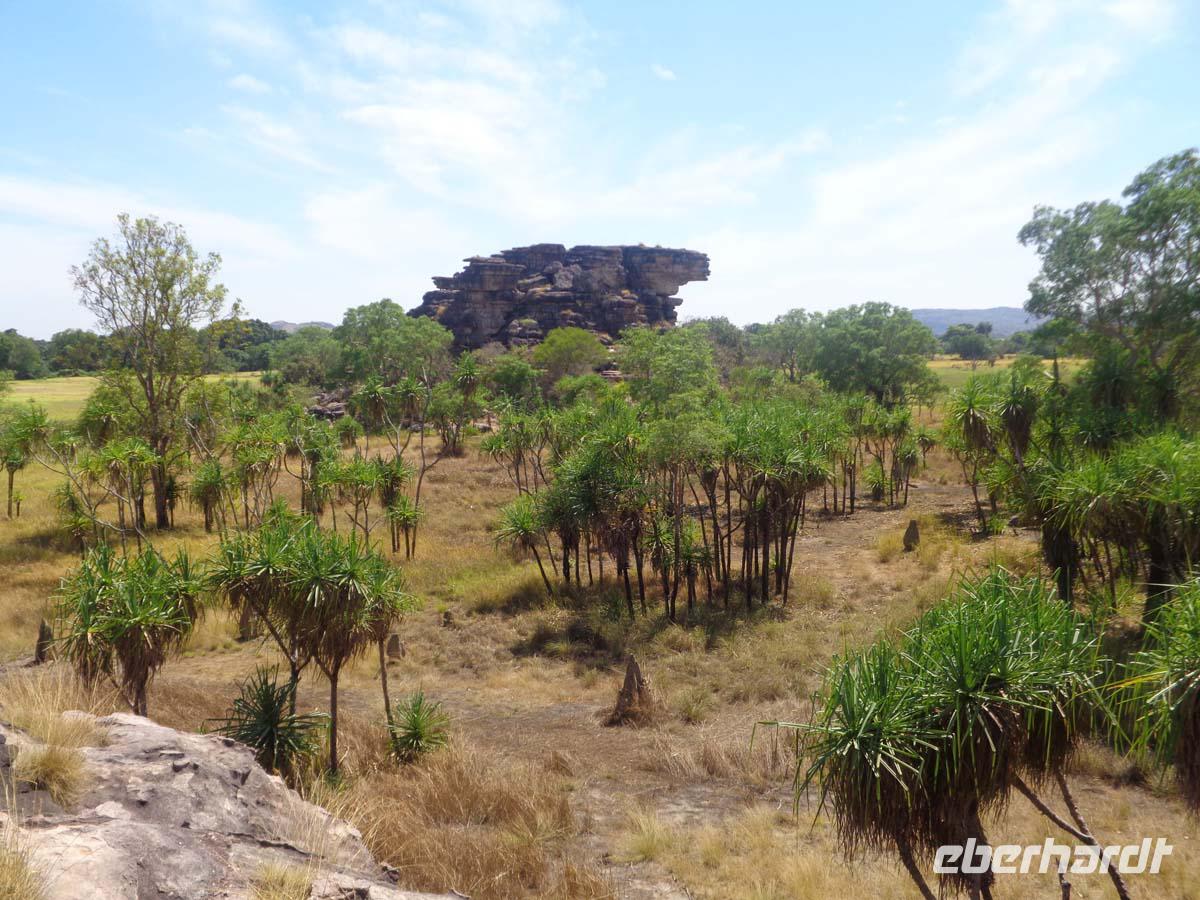 Landschaft am Ubirr Rock