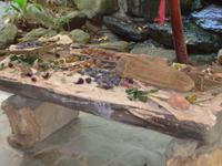 Essbares aus dem Bush