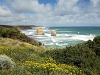 Great Ocean Road - 12 Apostel