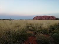 Sonnenuntergang am Ayers Rock