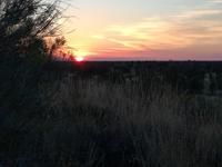 Sonnenaufgang am Ayers Rock