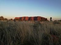 Sonnenaufgang am Ayers Rock