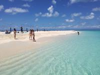 Great Barrier Reef - Michaelmas Cay