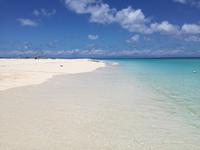 Great Barrier Reef - Michaelmas Cay