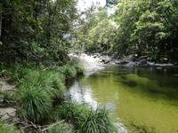 Daintree Nationalpark und Mossman Schlucht