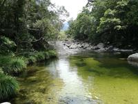 Daintree Nationalpark und Mossman Schlucht