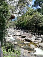 Daintree Nationalpark und Mossman Schlucht