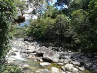 Daintree Nationalpark und Mossman Schlucht