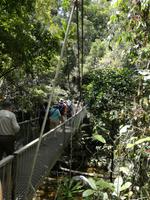 Daintree Nationalpark und Mossman Schlucht