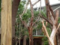 Featherdale Wildlife Park