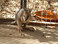 Featherdale Wildlife Park