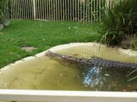 Featherdale Wildlife Park