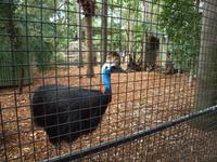 Featherdale Wildlife Park
