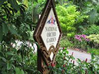 Singapur - Orchideengarten