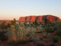 Sonnenaufgang am Uluru - mit Kata Tjuta