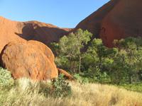 Ayers Rock - Kuniya Walk