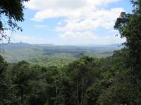 Kuranda - Seilbahnfahrt - Regenwaldwalk