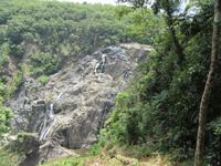 Kuranda - Seilbahnfahrt - Barron Falls