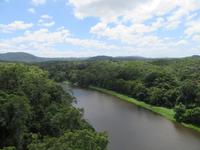 Kuranda - Seilbahnfahrt