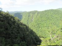 Kuranda - Eisenbahnfahrt