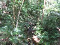 Mossmanschlucht Spaziergang