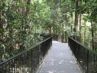 Daintree Nationalpark und Mossman Schlucht