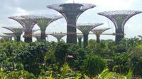 Singapur, Supertrees