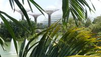 Singapur, Gardens by the Bay