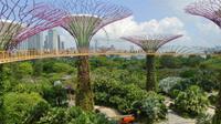Singapur, Skyway im Gardens by the Bay