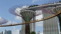 Singapur, Skyway im Gardens by the Bay