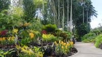 Singapur, Botanischer Garten