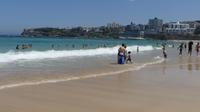 Bondi Beach
