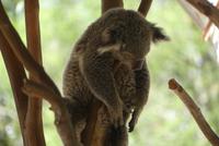 ...nur nicht bewegen