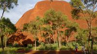 Morgenspaziergang am Uluru
