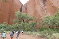 Morgenspaziergang am Uluru