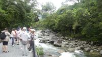 Daintree Nationalpark, Mossman Gorge
