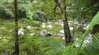 Daintree Nationalpark, Mossman Gorge