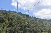 Skyrail Regenwald