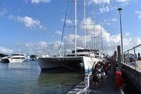 Segeltörn und Schnorcheln am Great Barrier Reef