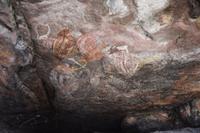 Felsmalerei der Aborigines