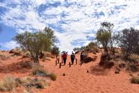 Mount Conner Lookout