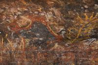 Felsmalerei der Aborigines