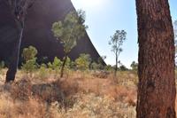 Uluru - Ayers Rock