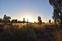 Uluru - Ayers Rock - Sonnenaufgang